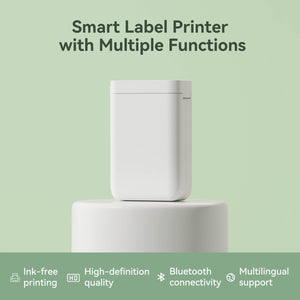 Niimbot D101 | Label Printer Printing Office Home Shop Retail Use Tape inkless Label Maker